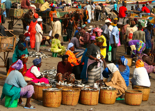 BROUSSE ET FADIOUTH