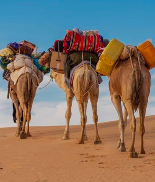 Mauritanie randonnée chamelière